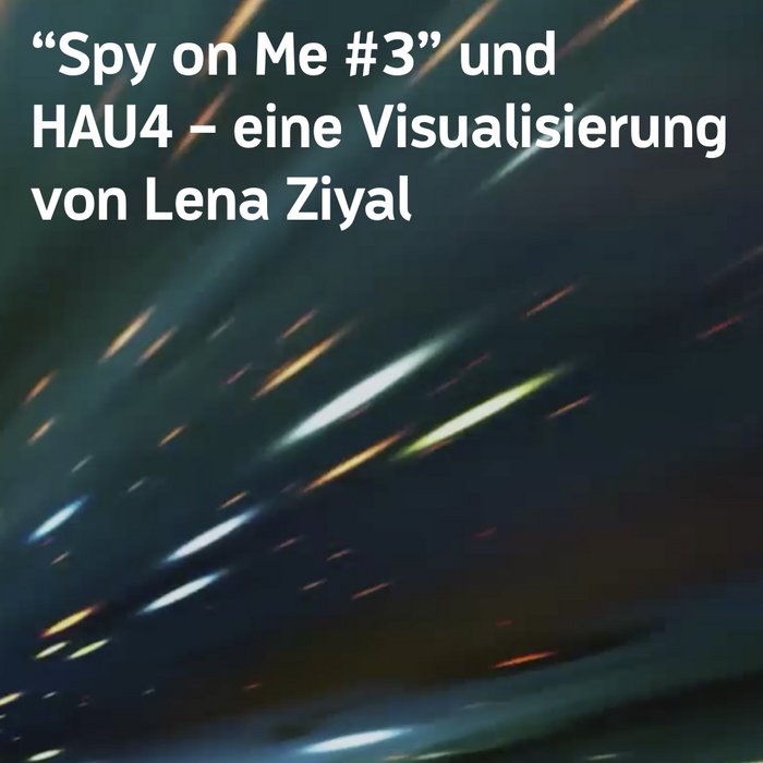 Link zur Visualisierung von Lena Ziyal