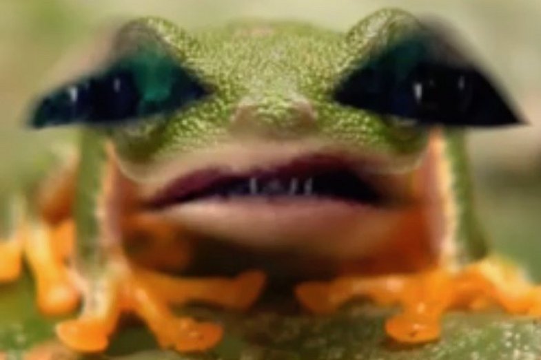 A picture of a frog. The frog has human eyes and mouth.