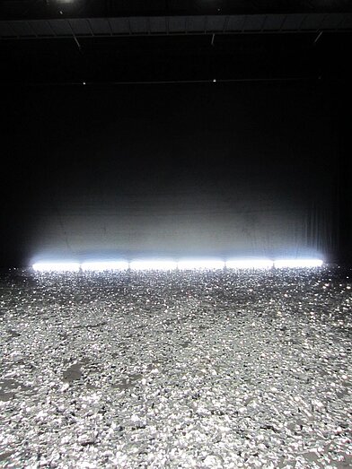 The Artificial Nature Project