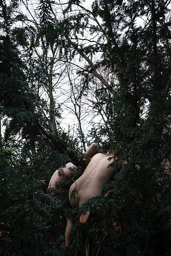 YEW