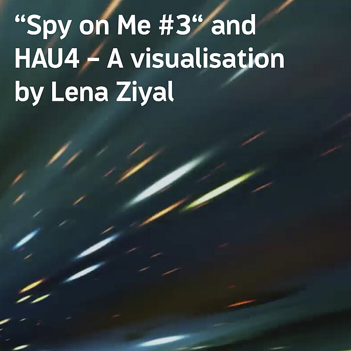 Link to visualisation by Lena Ziyal